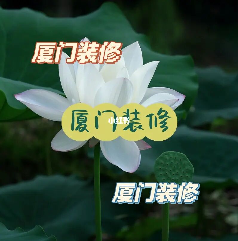 廈門(mén)有家裝飾_廈門(mén)裝飾公司電話(huà)號(hào)碼_廈門(mén)梓金臣裝飾
