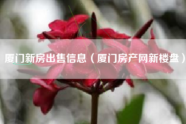 廈門家庭裝修網(wǎng)_廈門裝修家庭網(wǎng)站有哪些_廈門家裝網(wǎng)平臺(tái)