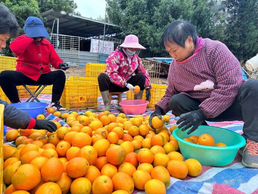 廈門家裝_十強(qiáng)家居裝修公司廈門_廈門家裝公司排名
